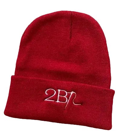 2B1 Beanie