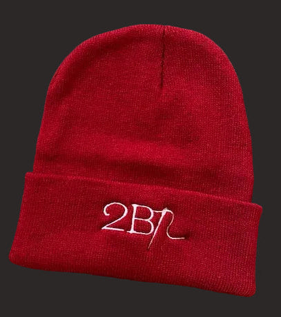 2B1 Beanie